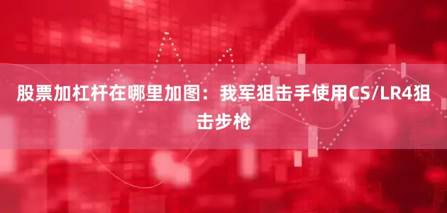 股票加杠杆在哪里加图：我军狙击手使用CS/LR4狙击步枪