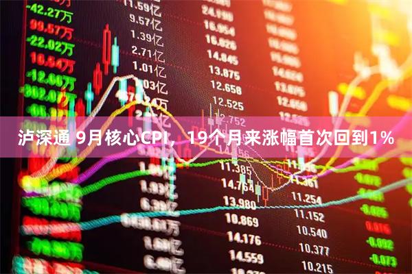 泸深通 9月核心CPI，19个月来涨幅首次回到1%