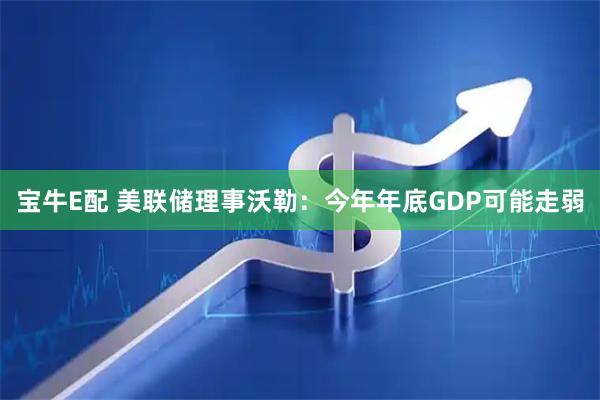 宝牛E配 美联储理事沃勒：今年年底GDP可能走弱