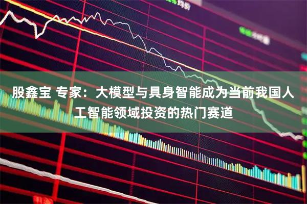 股鑫宝 专家:大模型与具身智能成为当前我国人工智能领域投资的热门赛道