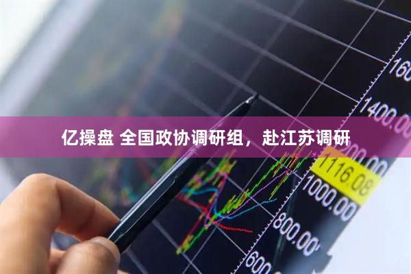 亿操盘 全国政协调研组，赴江苏调研