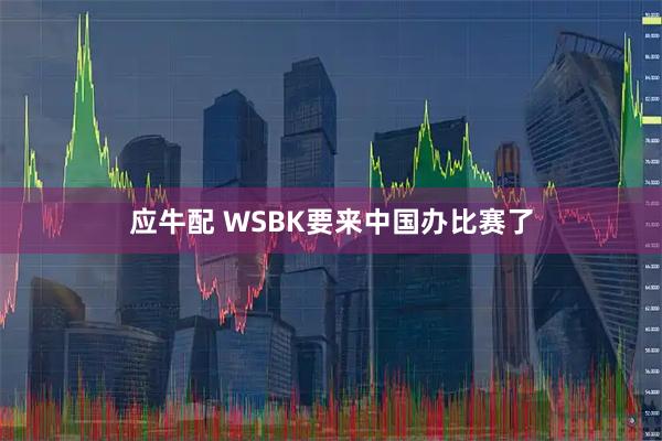应牛配 WSBK要来中国办比赛了